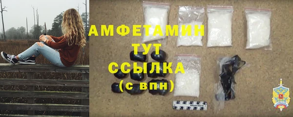 индика Белоозёрский