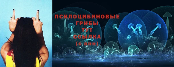 индика Белоозёрский