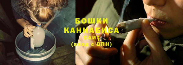 индика Белоозёрский