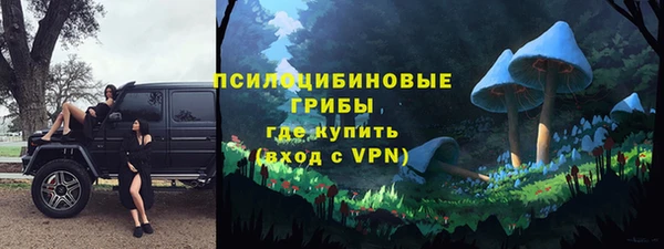 МДПВ Белокуриха