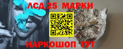 гидропоника Будённовск