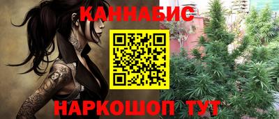 гидропоника Будённовск