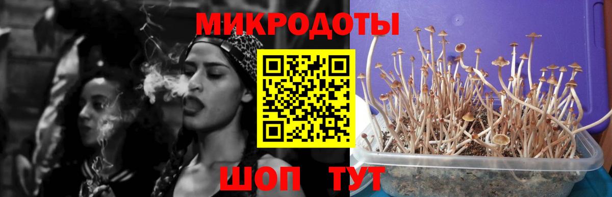 Псилоцибиновые грибы Magic Shrooms  Псилоцибиновые грибы прущие грибы  Воскресенск  Вход с VPN 